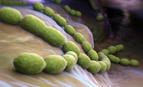 Holobionte o por qué el pronombre “yo” se ha quedado obsoleto