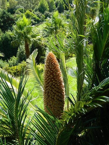 Visitamos los Jardines de La Fonte Baxa. We visit the gardens of La Fonte Baxa (El Chano - Luarca- Asturias - Spain)
