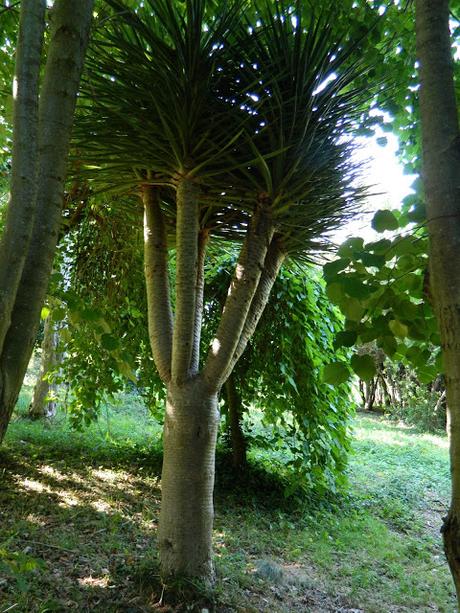 Visitamos los Jardines de La Fonte Baxa. We visit the gardens of La Fonte Baxa (El Chano - Luarca- Asturias - Spain)