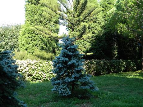 Visitamos los Jardines de La Fonte Baxa. We visit the gardens of La Fonte Baxa (El Chano - Luarca- Asturias - Spain)