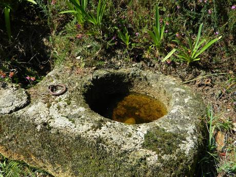 Visitamos los Jardines de La Fonte Baxa. We visit the gardens of La Fonte Baxa (El Chano - Luarca- Asturias - Spain)