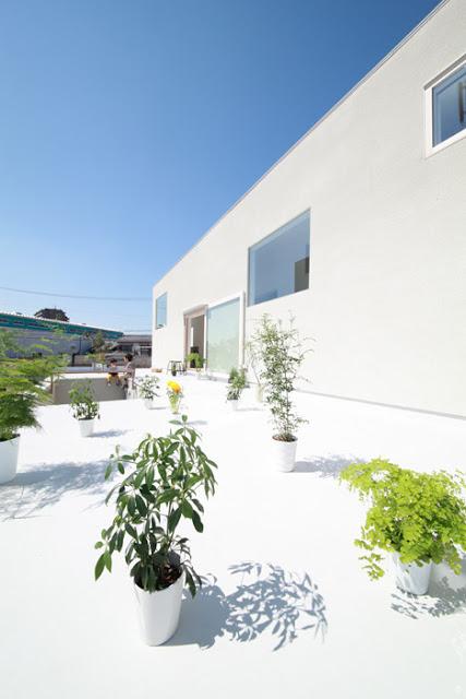 Plataformas de madera alistonada en vivienda de Japón