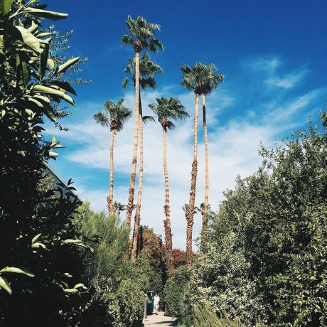 The_Parker_Palm_Springs_Meriden_Hotel-Striped_Mini_Skirt-Buttoned_Skirt-Reformation-Chanel-Espadrilles-Collage_On_The_Road-California-Sleep_Palm_Springs-40