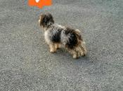 Estamos Agustito CXI. Busca #funny