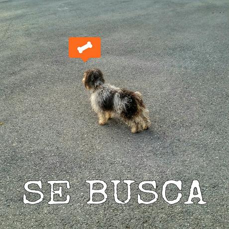 Estamos tan agustito