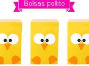 Bolsas pollito papel