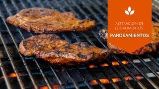 Los 5 artículos más leídos en Alimenta Acción