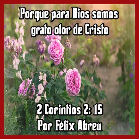 Un perfume y una carta