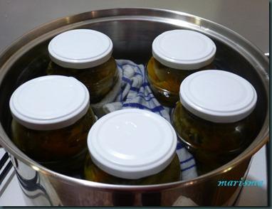 conserva de judías verdes6 copia