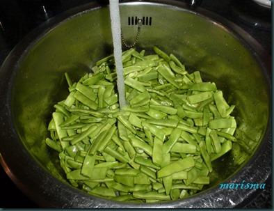 conserva de judías verdes1 copia