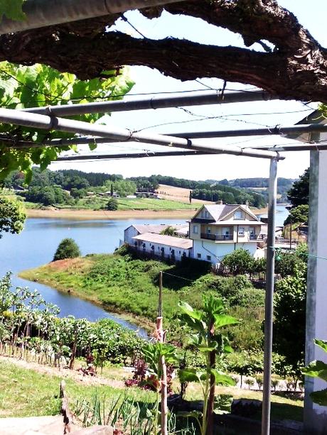 CAMINO DE SANTIAGO: MORGADE-PORTOMARÍN (CAMINO FRANCÉS)