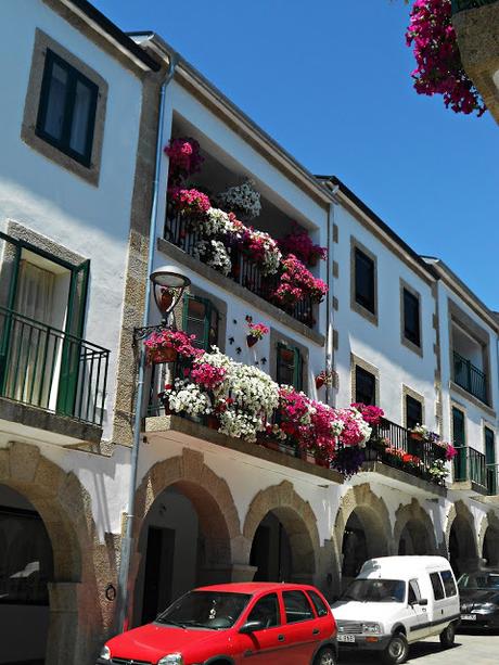CAMINO DE SANTIAGO: MORGADE-PORTOMARÍN (CAMINO FRANCÉS)