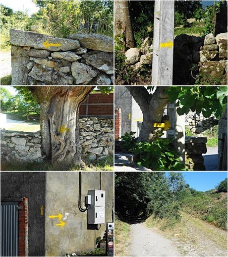 CAMINO DE SANTIAGO: MORGADE-PORTOMARÍN. (CAMINO FRANCÉS)