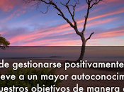 ¿Qué podemos aprender ira?