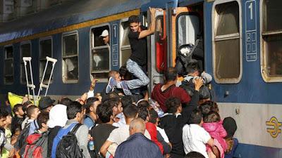 El tren de los inmigrantes en Europa: las desesperadas luchas para sobrevivir