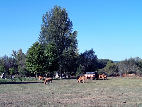 Antiguo Camino de Santiago: de La Robla a Canales, León.