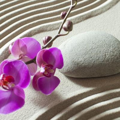 fotomural-piedra-zen