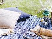 Picnic Rustico