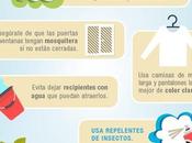Curiosidades mosquitos Parte