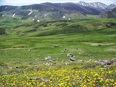 La Cubilla - La Almagrera - La Mesa y La Tesa