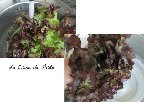 Ensalada  flor ,con lechuga de roble