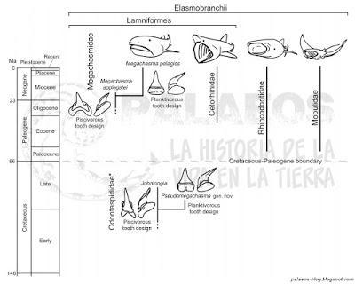 Paleonoticias explicadas