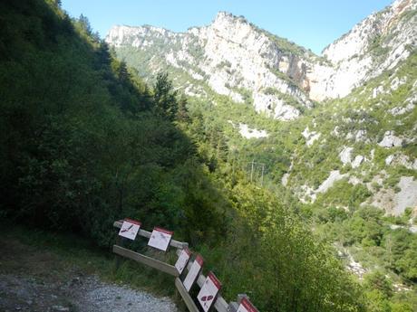 Sendero al mirador de la Foz de Burgui y al abetal de Basari