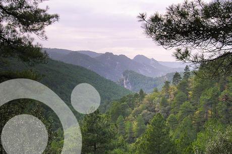 parque natural serrania de cuenca 7