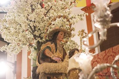 Galería fotográfica de la procesión de la Divina Pastora (II)