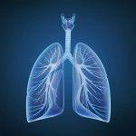Fibrosis quística