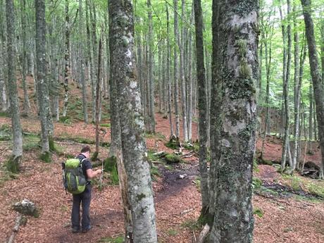 Senda de Camille. Etapa 1. De Somport al refugio de Arlet (Francia)