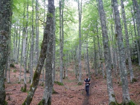 Senda de Camille. Etapa 1. De Somport al refugio de Arlet (Francia)