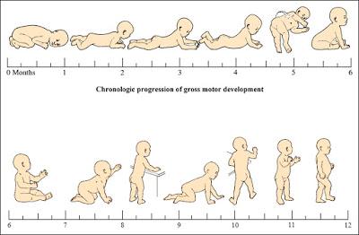 Los hitos del desarrollo en el niño