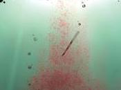 sirena roja. Noelia Lorenzo Pino