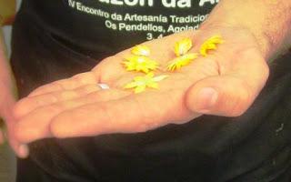 Curso de Plumeria