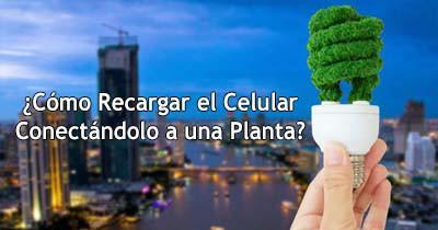Cómo Recargar el Celular Conectándolo a una Planta Cómo Recargar el Celular Conectándolo a una Planta