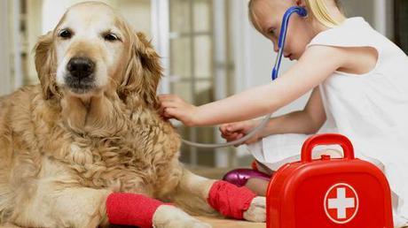 Las 9 Enfermedades de la Piel en perros mas comunes