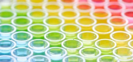 El uso de enzimas suplementarias para la lucha contra las complicaciones diabéticas