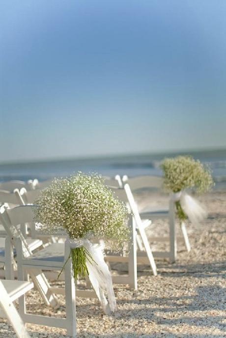 Alegra tu boda con paniculata Alegra tu boda con paniculata