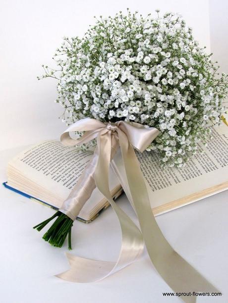 Alegra tu boda con paniculata Alegra tu boda con paniculata