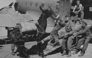 Las mulas paracaidistas