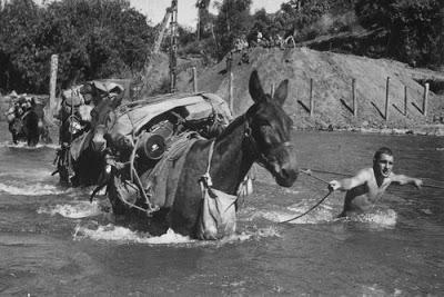 Las mulas paracaidistas