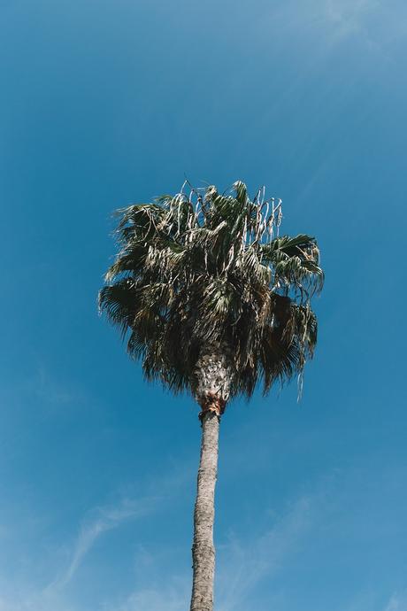 Venice_Beach-Collage_On_The_Road-Collage_Vintage-Levis-Shop_Camp-Casual_Look-49
