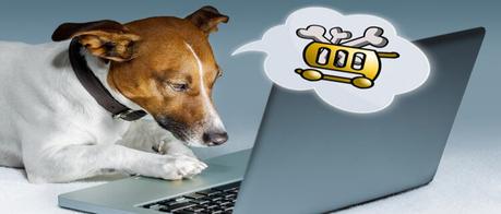 Cómo vender por Internet