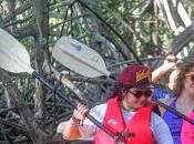 (17/8/15): Paleando entre manglares
