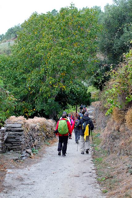 Camino de Santiago de Invierno, de La Rúa de Valdeorras a Quiroga.