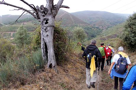 Camino de Santiago de Invierno, de La Rúa de Valdeorras a Quiroga.