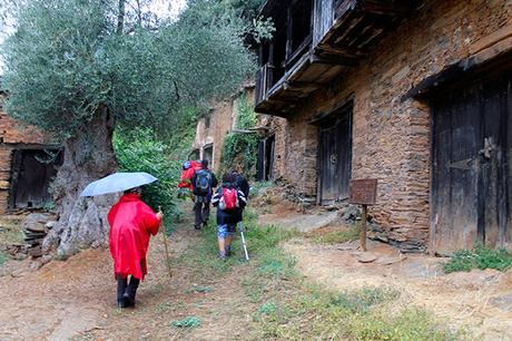 Camino de Santiago de Invierno, de La Rúa de Valdeorras a Quiroga.