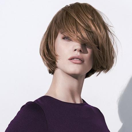 About-lead-in-image-500x500