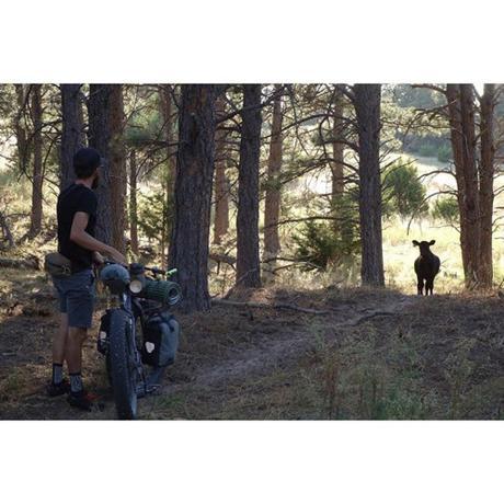Escenario de las modernas bicicletas para cicloturismo (con estilo para carretera): Detalles y características